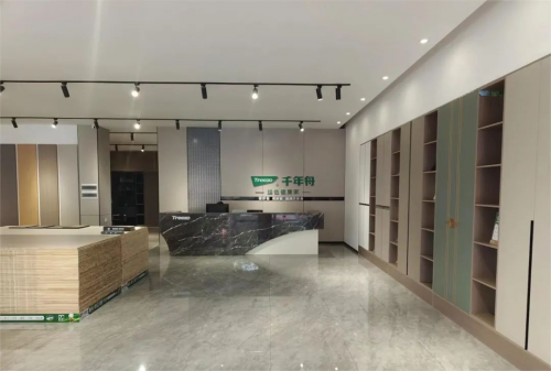 千年舟江西新余建材家居探店 賦予家的高品質(zhì)生活